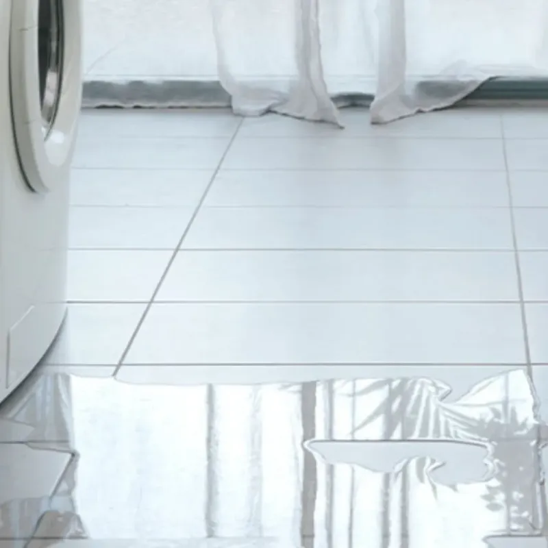 Appliance Leak Cleanup in Christopher, IL
