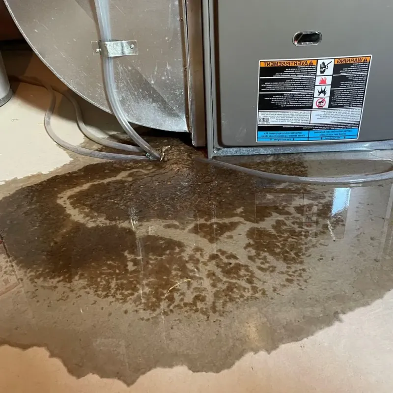 Pipe Burst and Leak Restoration in Christopher, IL