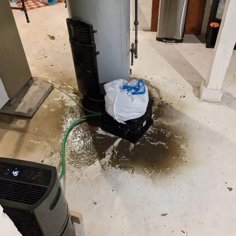 Sewage Backup Cleanup Service in Christopher, IL